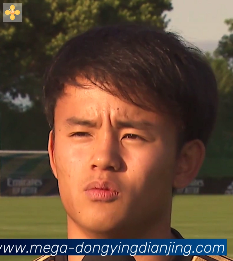 维尼修斯